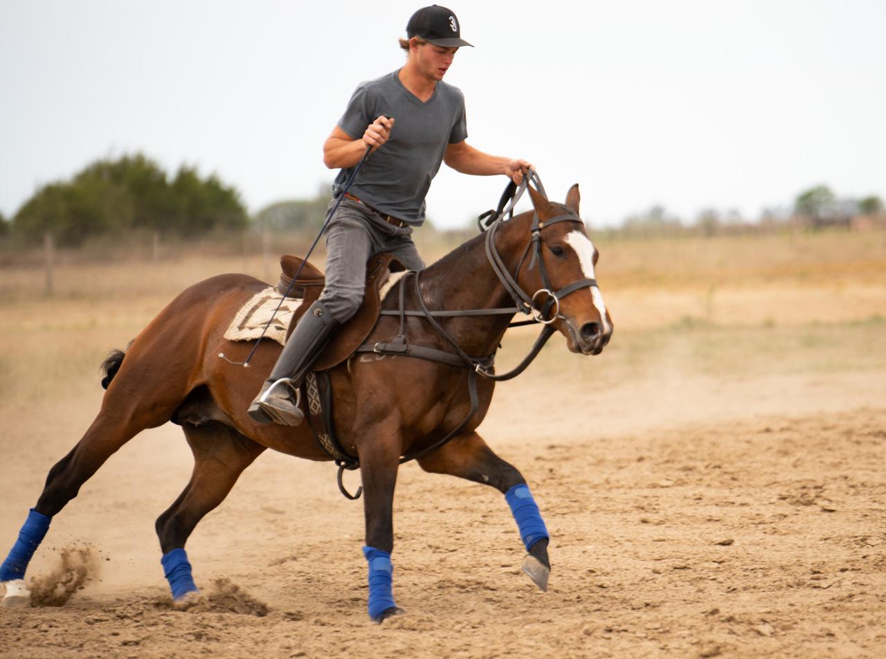 Coddington Bracewell Top Polo Stud in the UK offers polo pony breaking and polo pony training.
