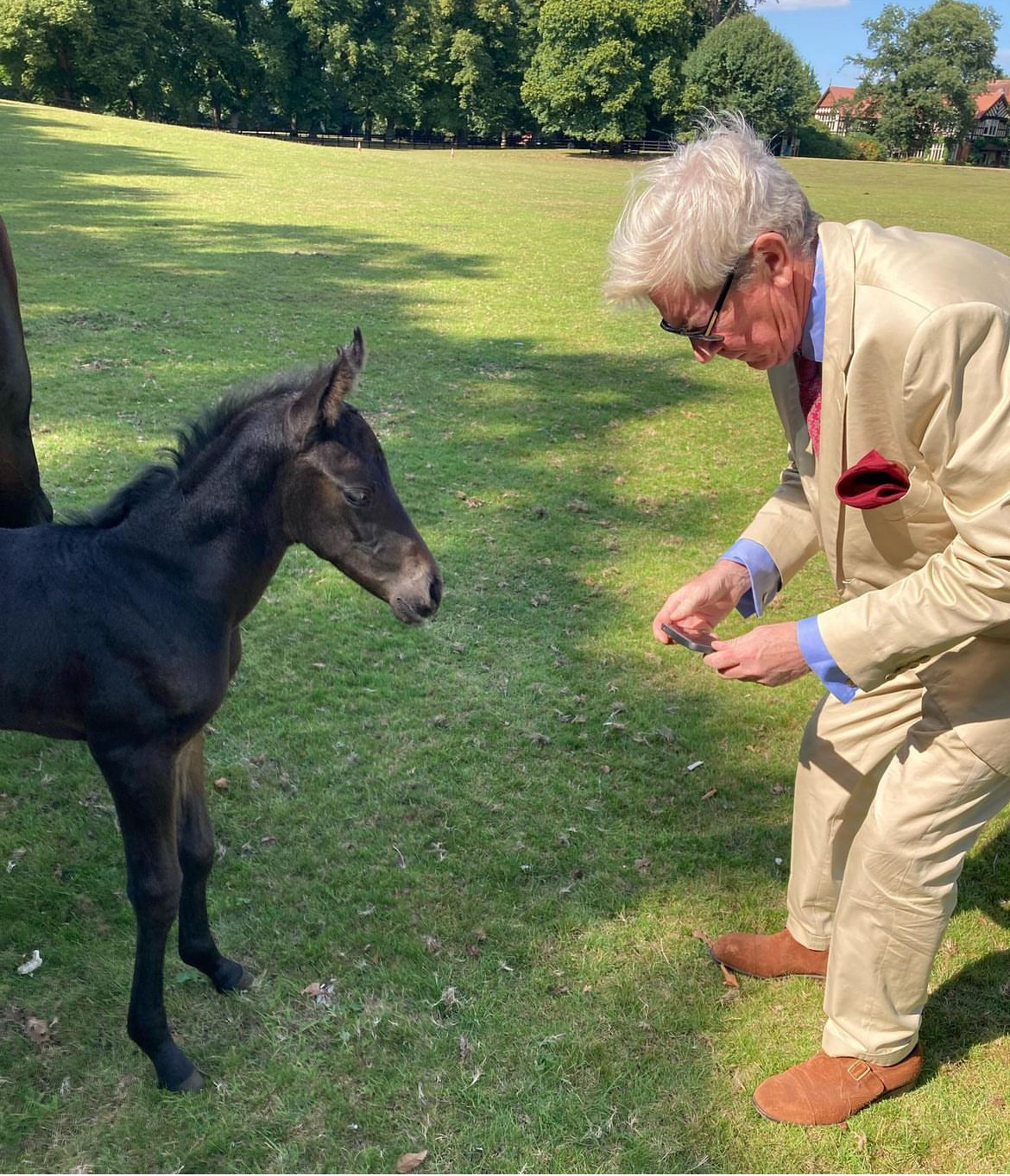 Giles Bracewell tends to one of the foals at Coddington Bracewell Polo Stud