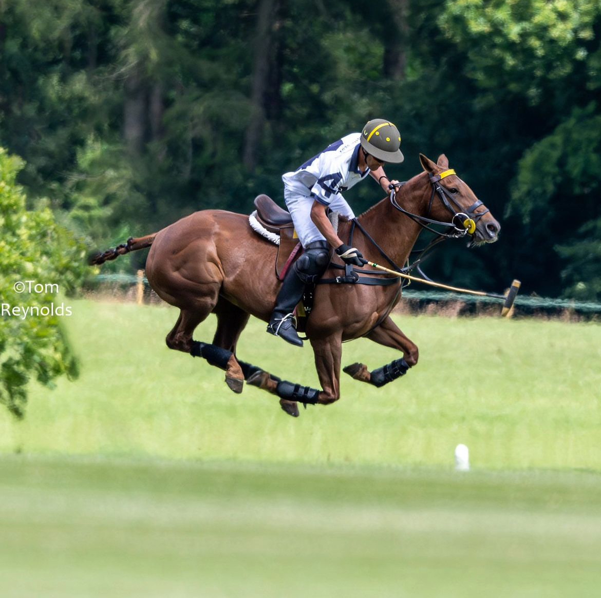 Jonny Coddington showcasing exceptional polo skills on a Coddington Bracewell polo pony